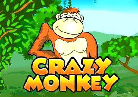 Crazy Monkey